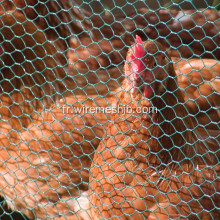 Grillage hexagonal pour bétail au poulet